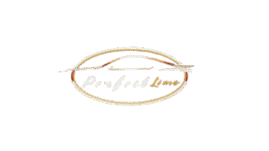 Image_202511281817__1_-removebg-preview